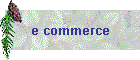 e commerce