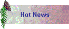 Hot News